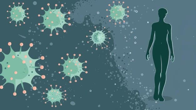 Supports Immune System